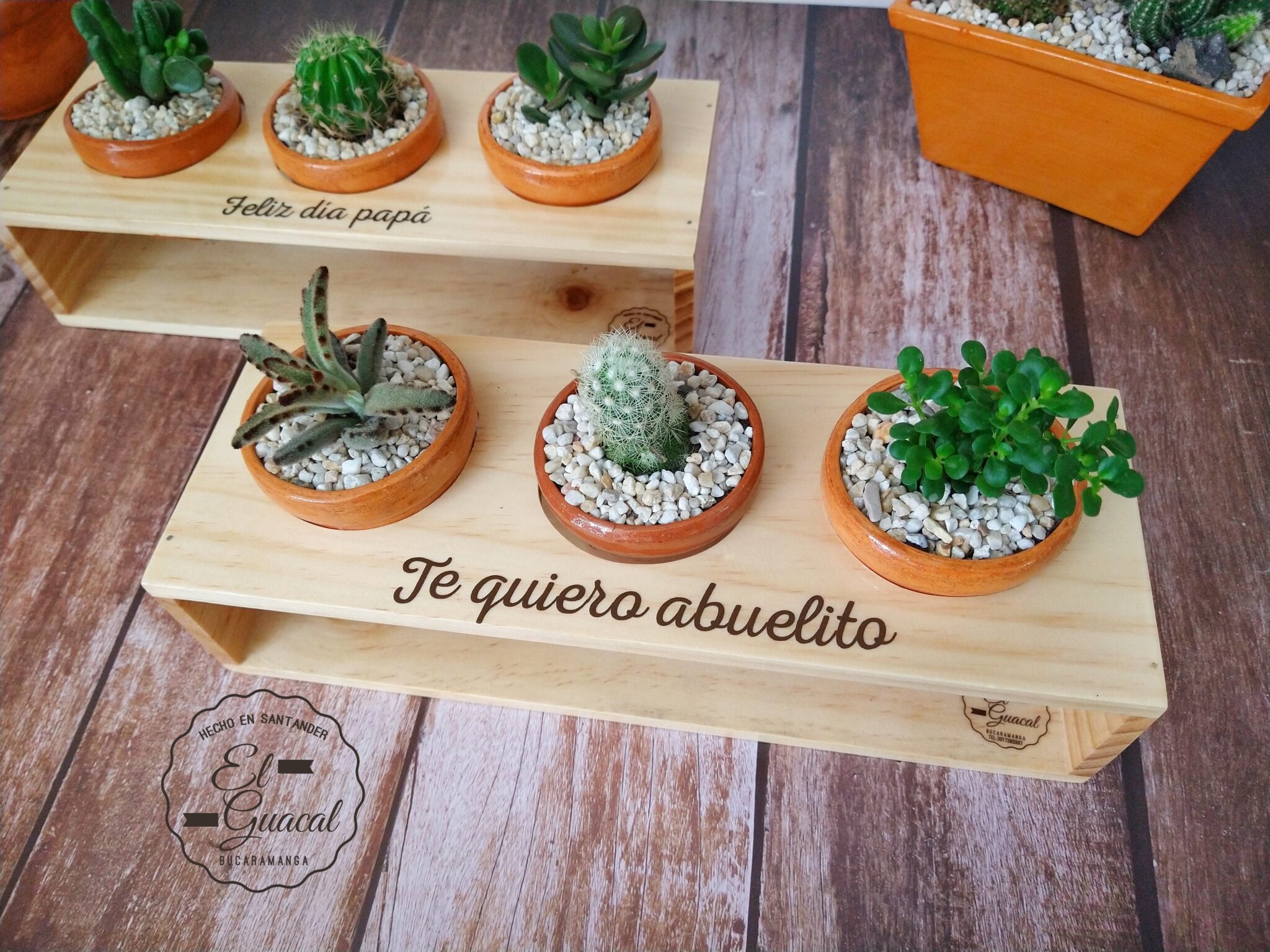 Jardín oasis natural para Papá | Detalles Bucaramanga| Regalos