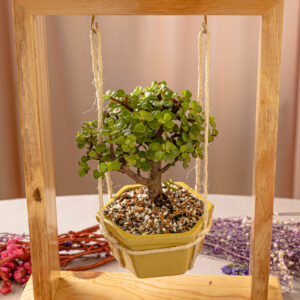 Recuadro de la abundancia