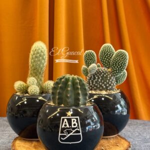 cactus con logo del atletico bucaramanga
