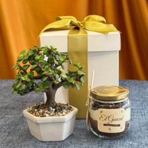 Regalos en bucaramanga