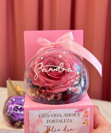 Rosa preservada en Bucaramanga