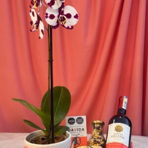 Orquideas en Bucaramanga