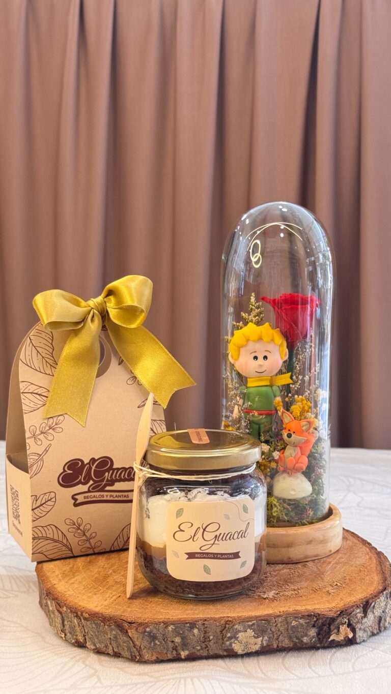 Cápsula con rosa preservada y principito
