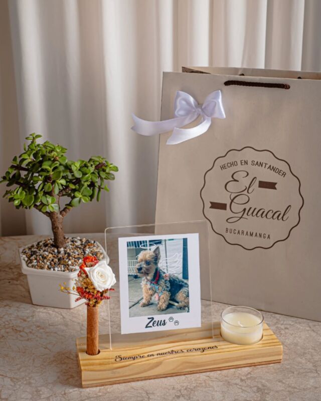 Porque los recuerdos más puros merecen un lugar especial 🐾🌱
Nuestro kit " siempre en nuestros corazones" incluye bonsái natural,  rosa baby, vela con aroma y un portarretrato personalizados para honrar a tus seres queridos ( o tu mejor amigo peludo, como zeus). Encuentra este detalle único en www.elguacal.com.co ✨💞
O escríbenos a nuestro wpp 3017285507 para mayor información.